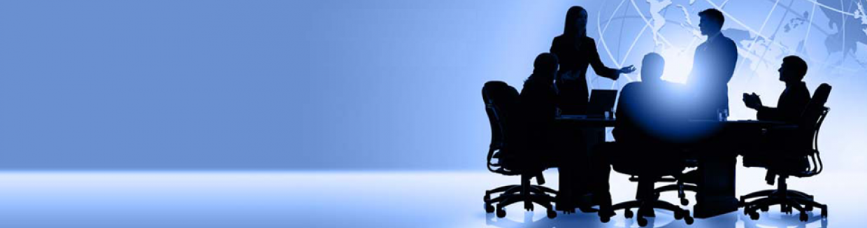 Presupuestos online